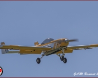 TSR Watermark - 0466